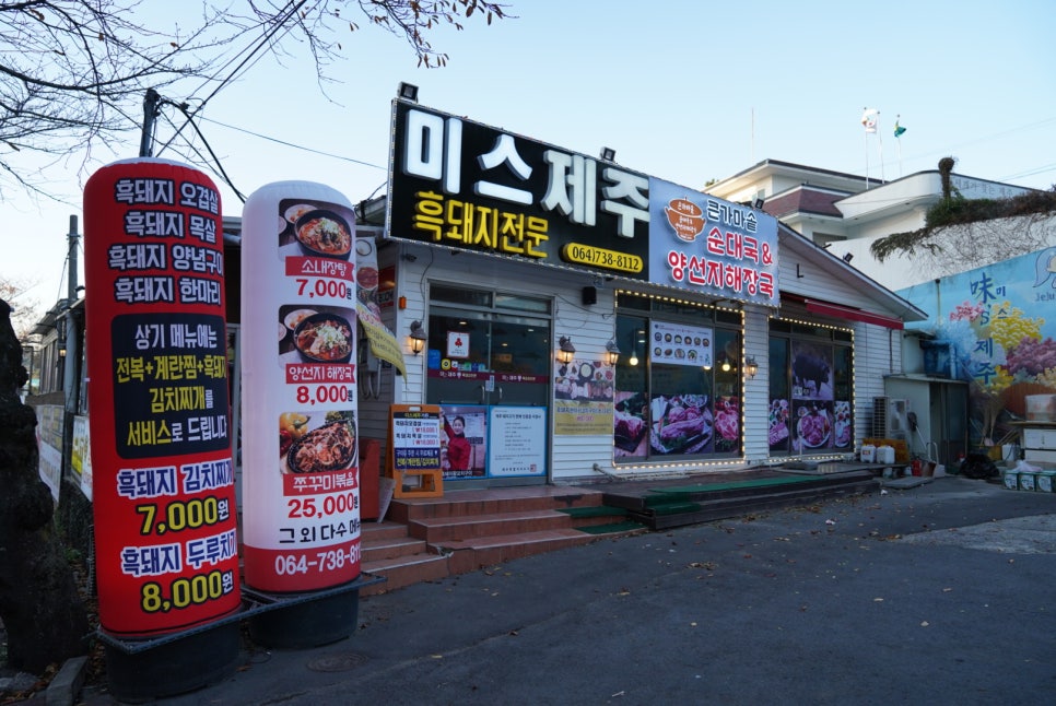 미스켄싱턴 이미지