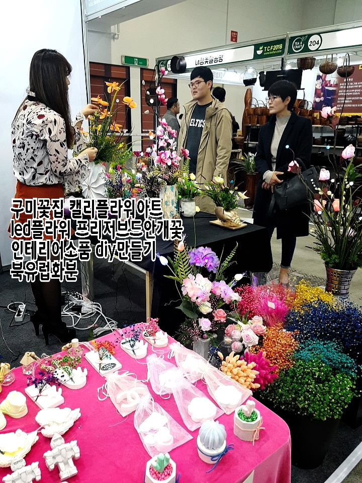 엑스코플라워 이미지