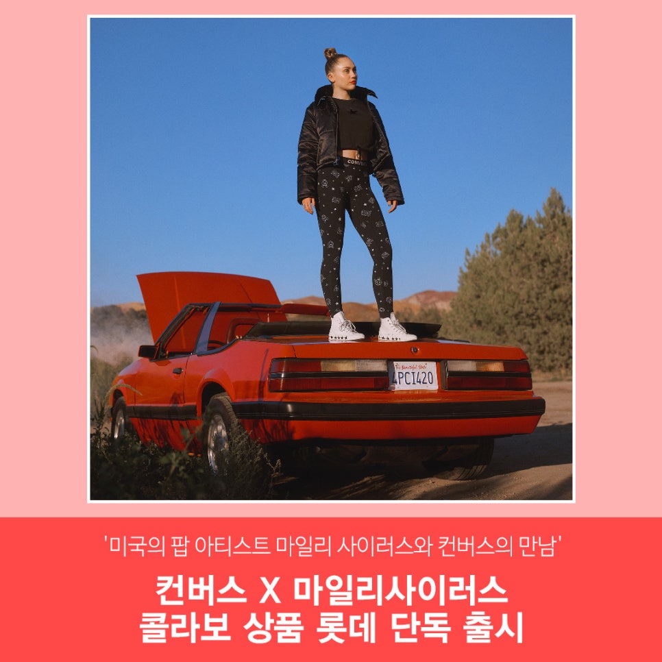 컨버스롯데평촌 이미지