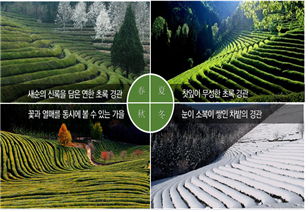 전승축산 이미지