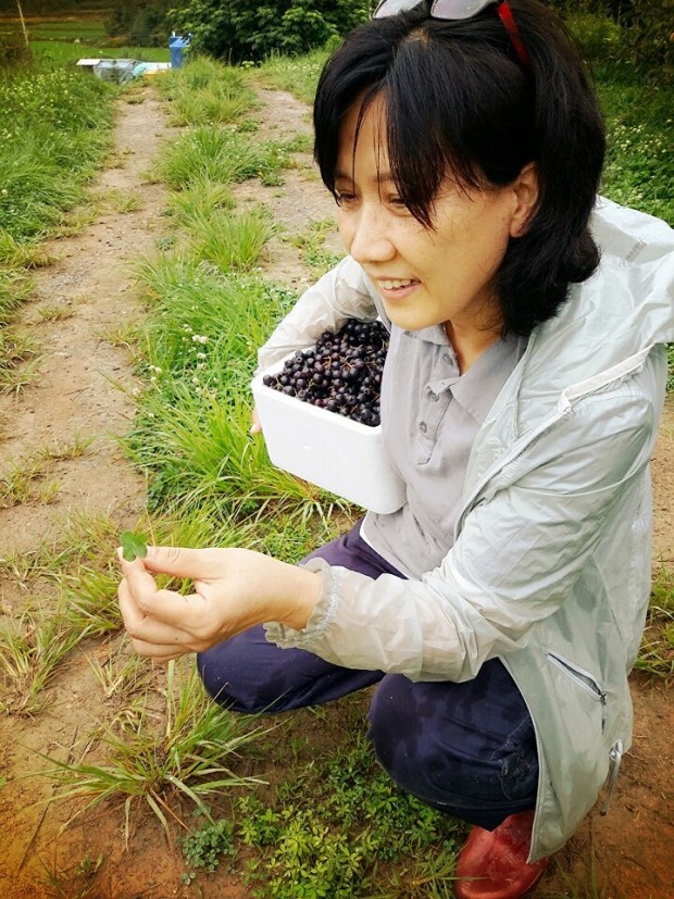 도도농장 이미지