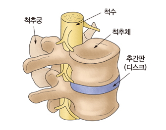 정림한의원 이미지