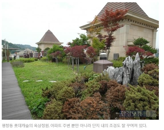 로잔롯데강남 이미지