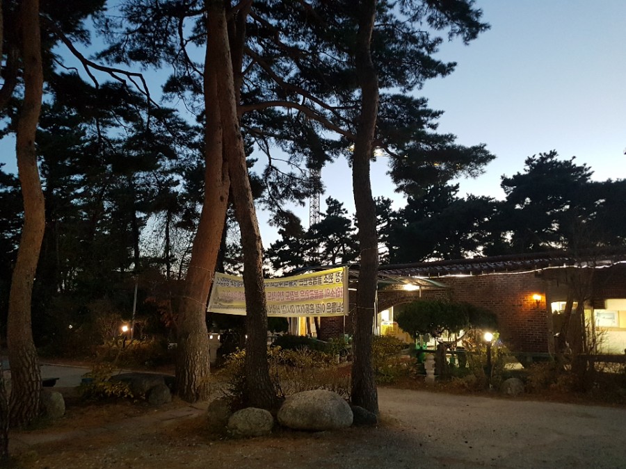 푸른솔밭식당 이미지