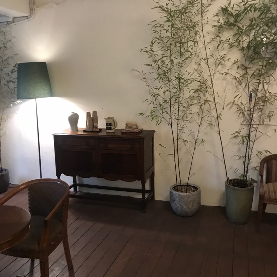 영스타서래 이미지