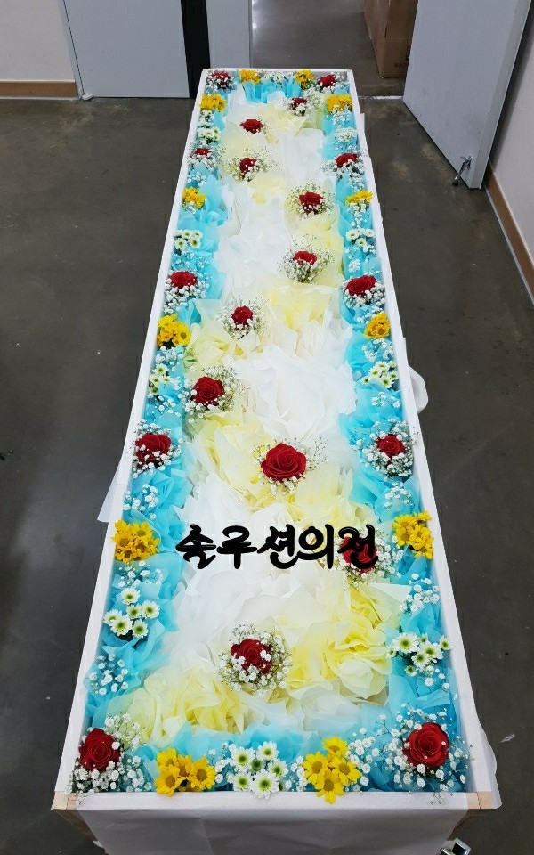 솔루션의전 이미지