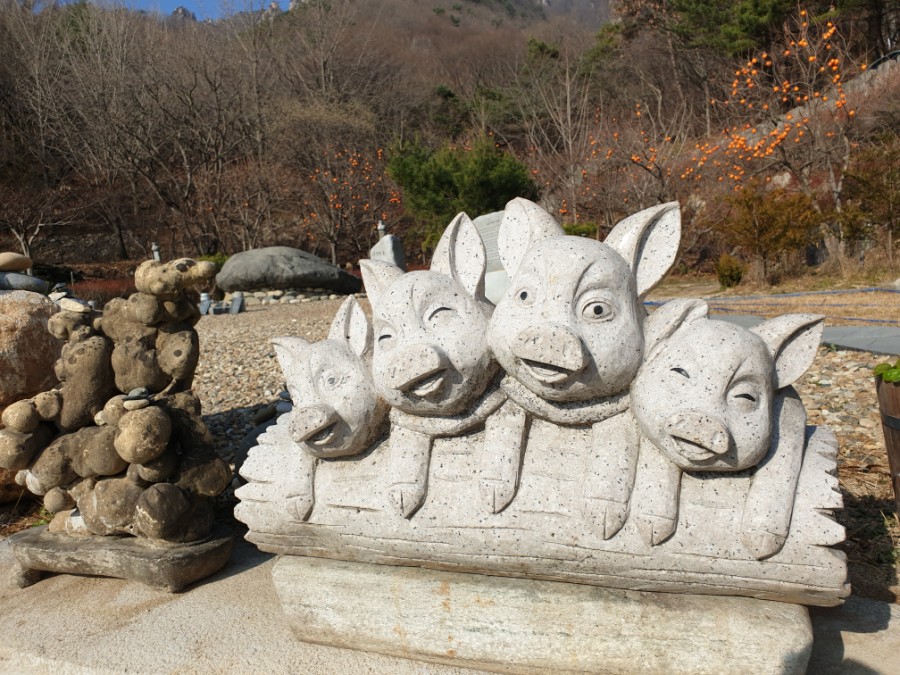 대둔산힐링센터 이미지