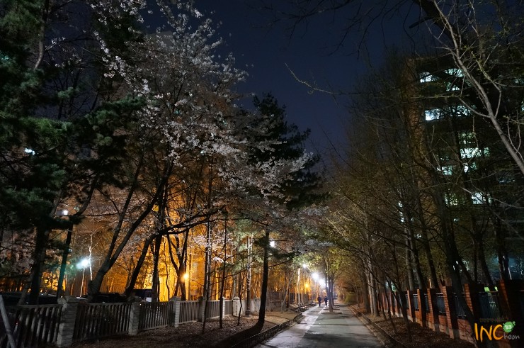 사람도시건축 이미지