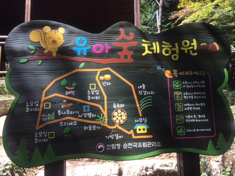 알프스 유아숲체험원 이미지