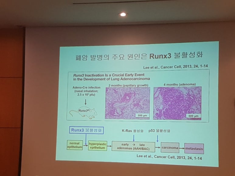 러넥스 이미지