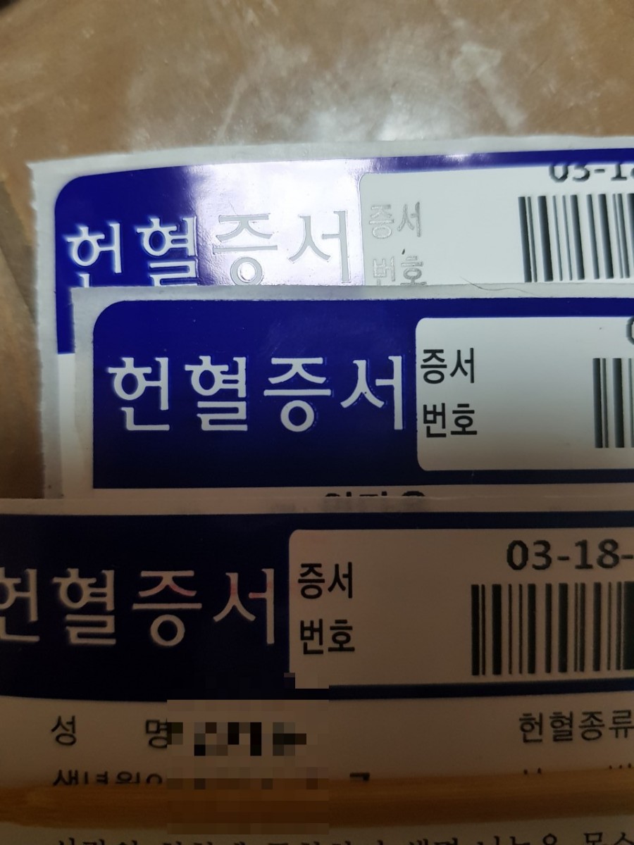 강화발이피싱? 이미지