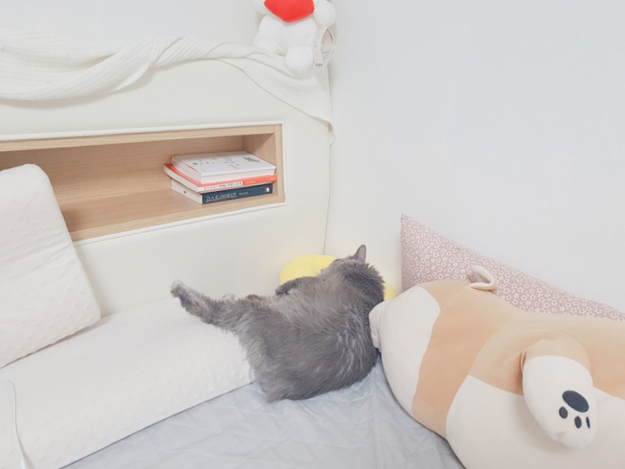 로스트엠 이미지