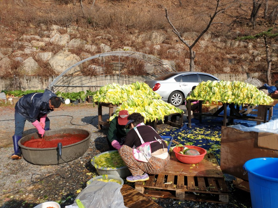 대둔산힐링센터 이미지