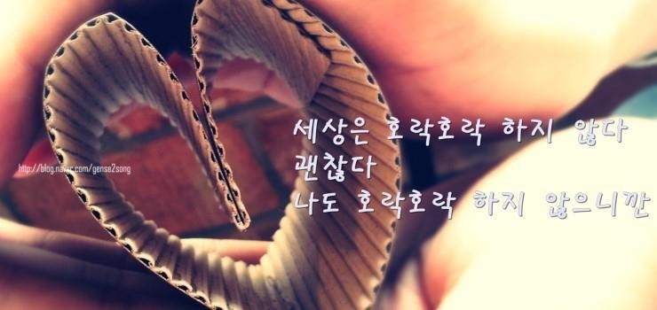 알케이 이미지