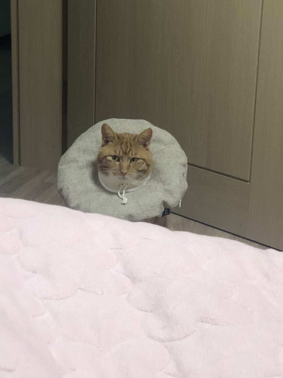 정릉스낵 이미지