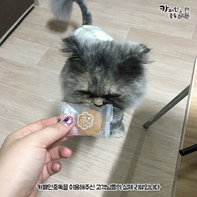 카페인중독 망원점 이미지