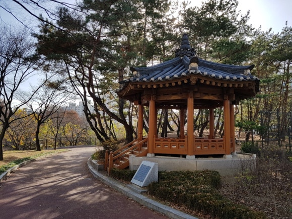 신가풋살 이미지