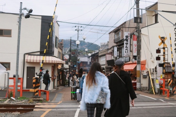 여우유부 이미지