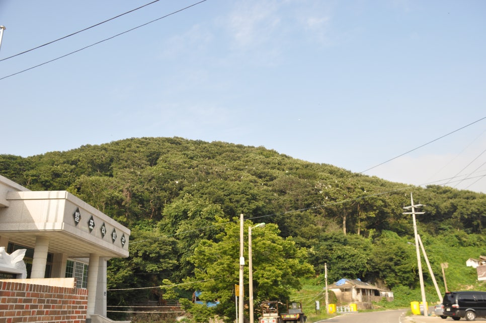 미르항공여행사 이미지