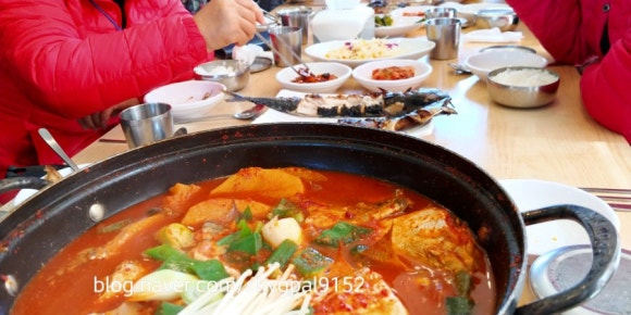 일출봉아로니아 이미지