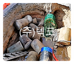 텍코주 이미지