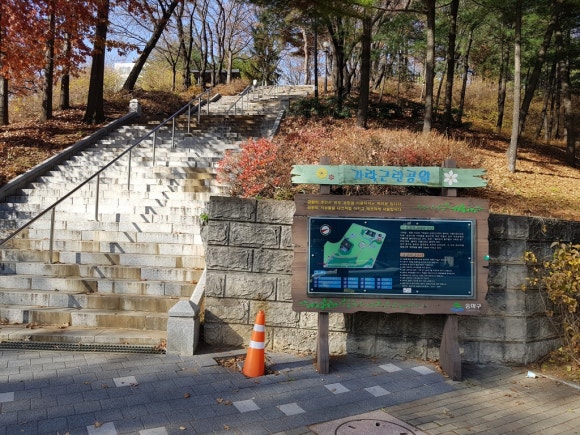 신가풋살 이미지