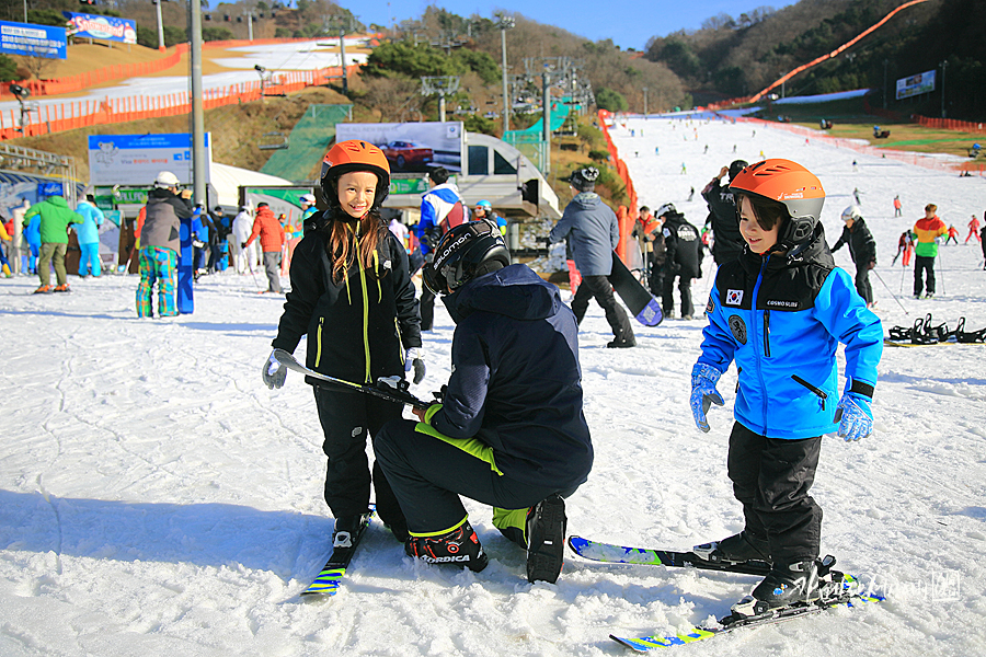 GO스키 이미지