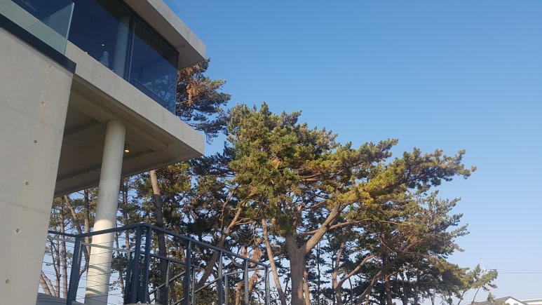 시장커피숍 이미지
