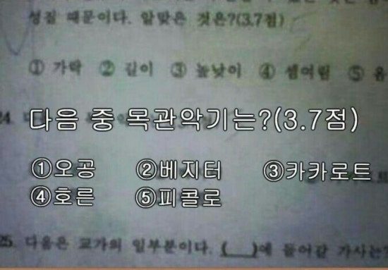 다음악기 이미지