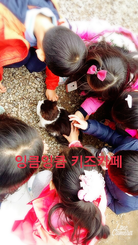 뉴강서양천키즈 이미지