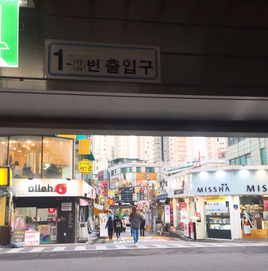 수림화원꽃 이미지
