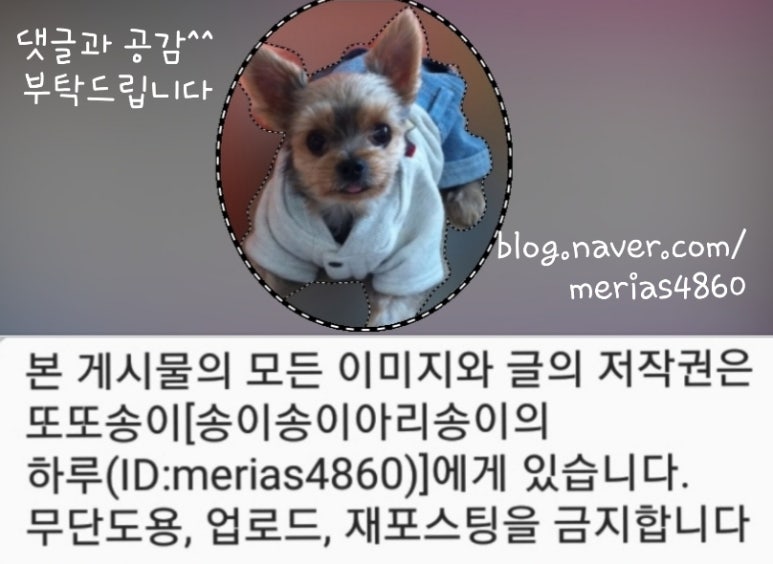 라파린느 이미지