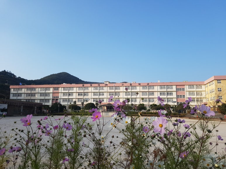 통영여자고등학교 이미지