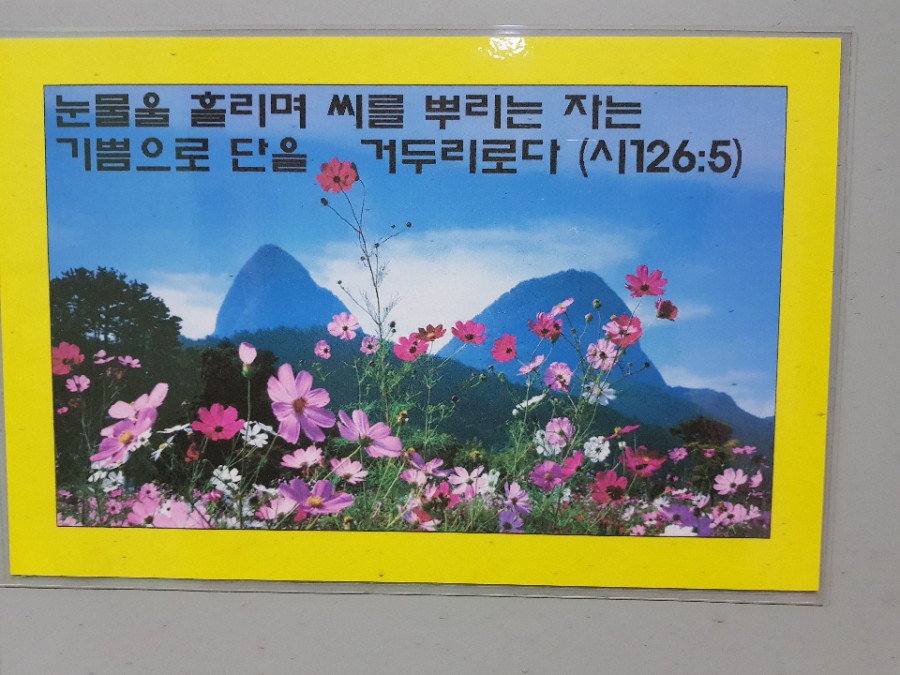 대국보일러 이미지
