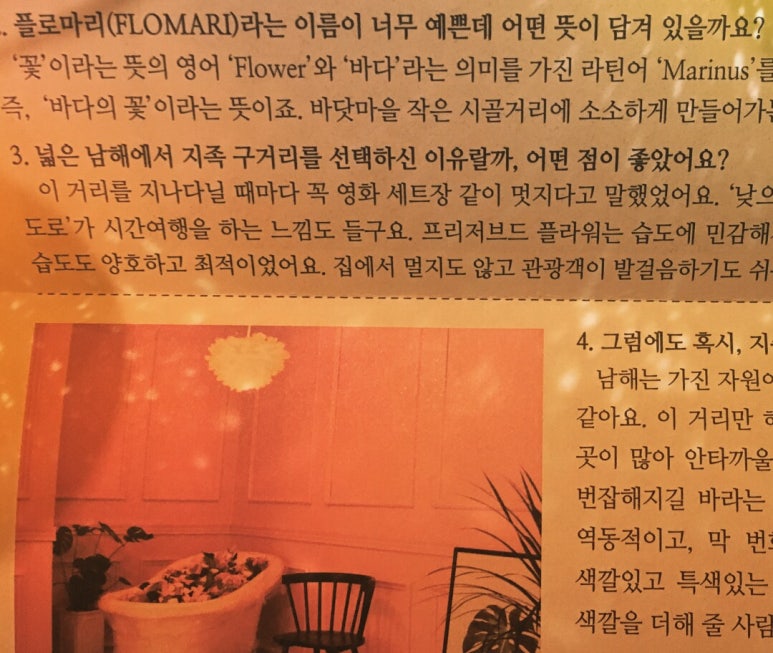 플로마리 이미지