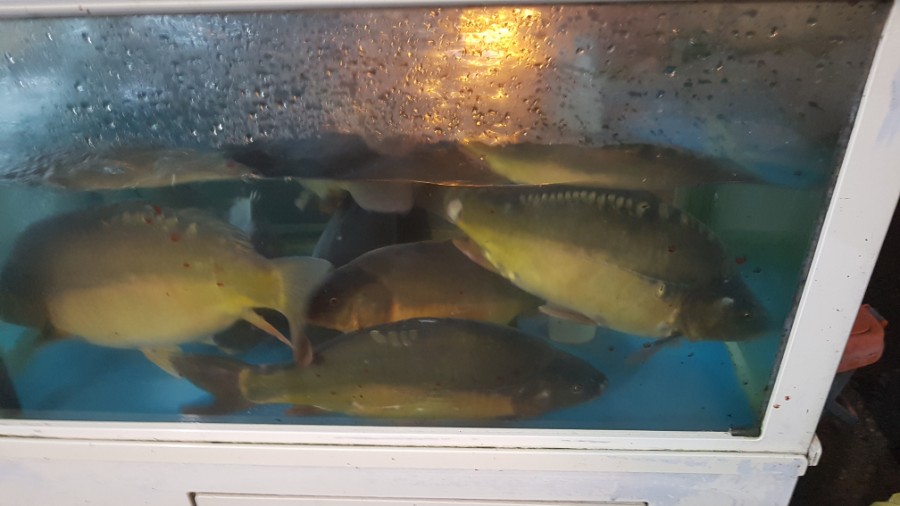 대산횟집 이미지