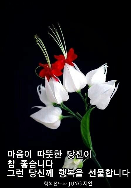 음악발전소 이미지