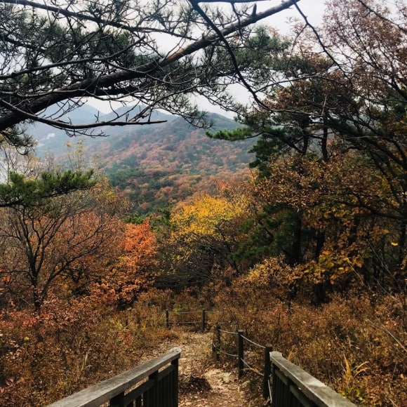 신전떡볶이진주 이미지