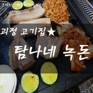 탐나네녹돈 이미지