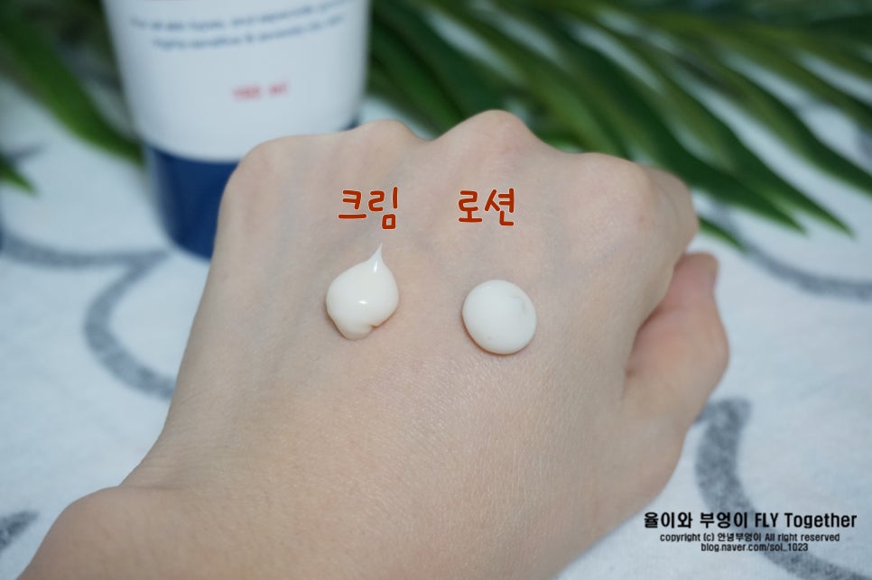 (주)벤스랩 이미지