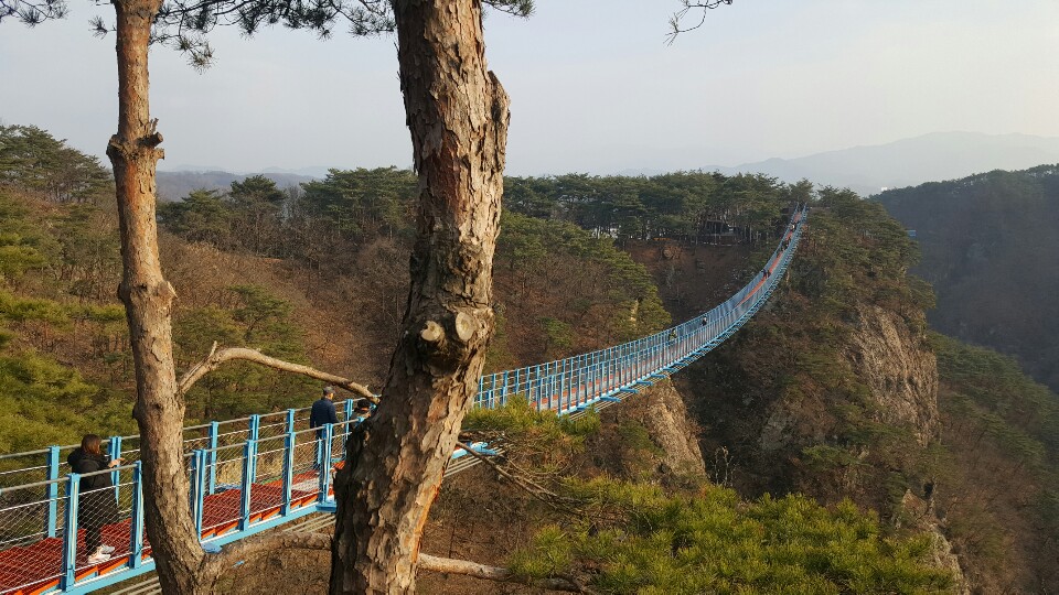 원주천서리막국수 이미지