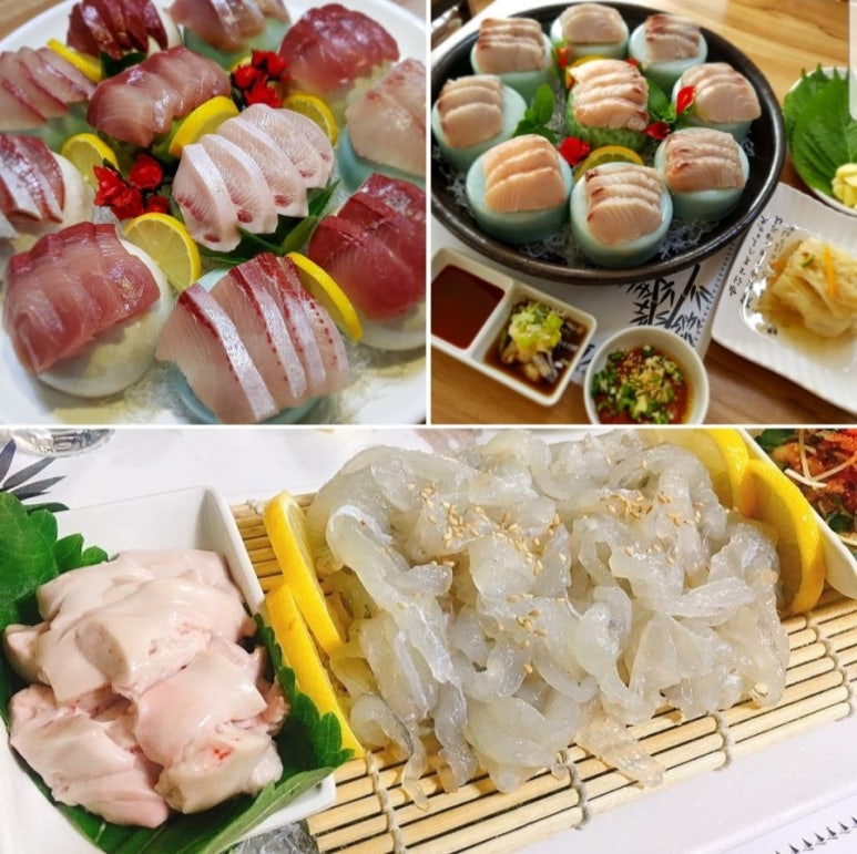 싱싱회예찬 이미지