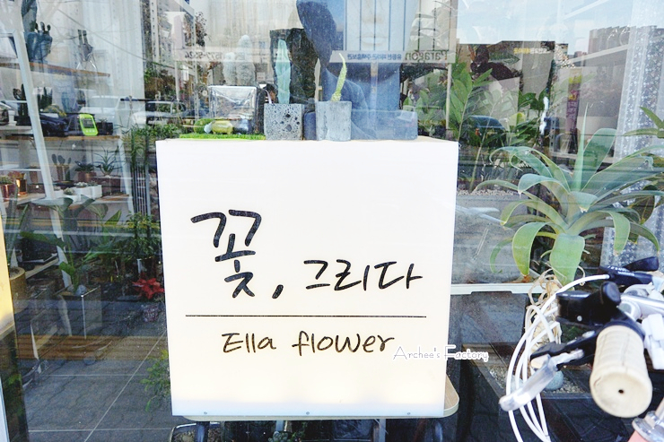 꽃그리다바이엘라 이미지