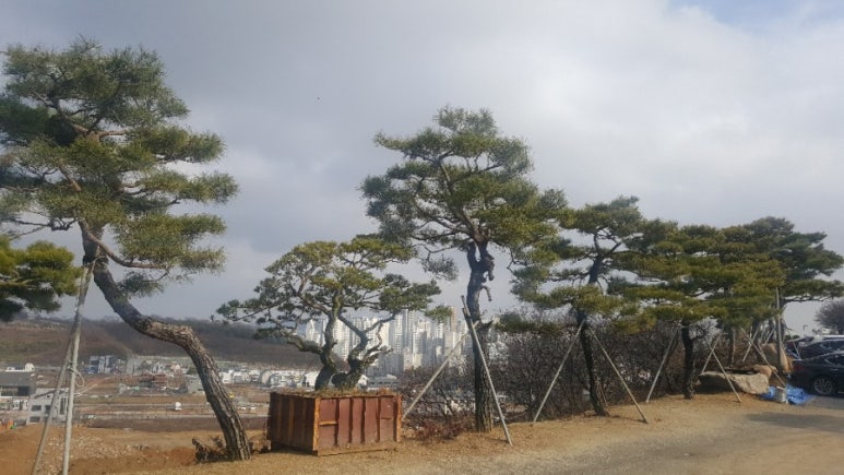 경커피숍 이미지