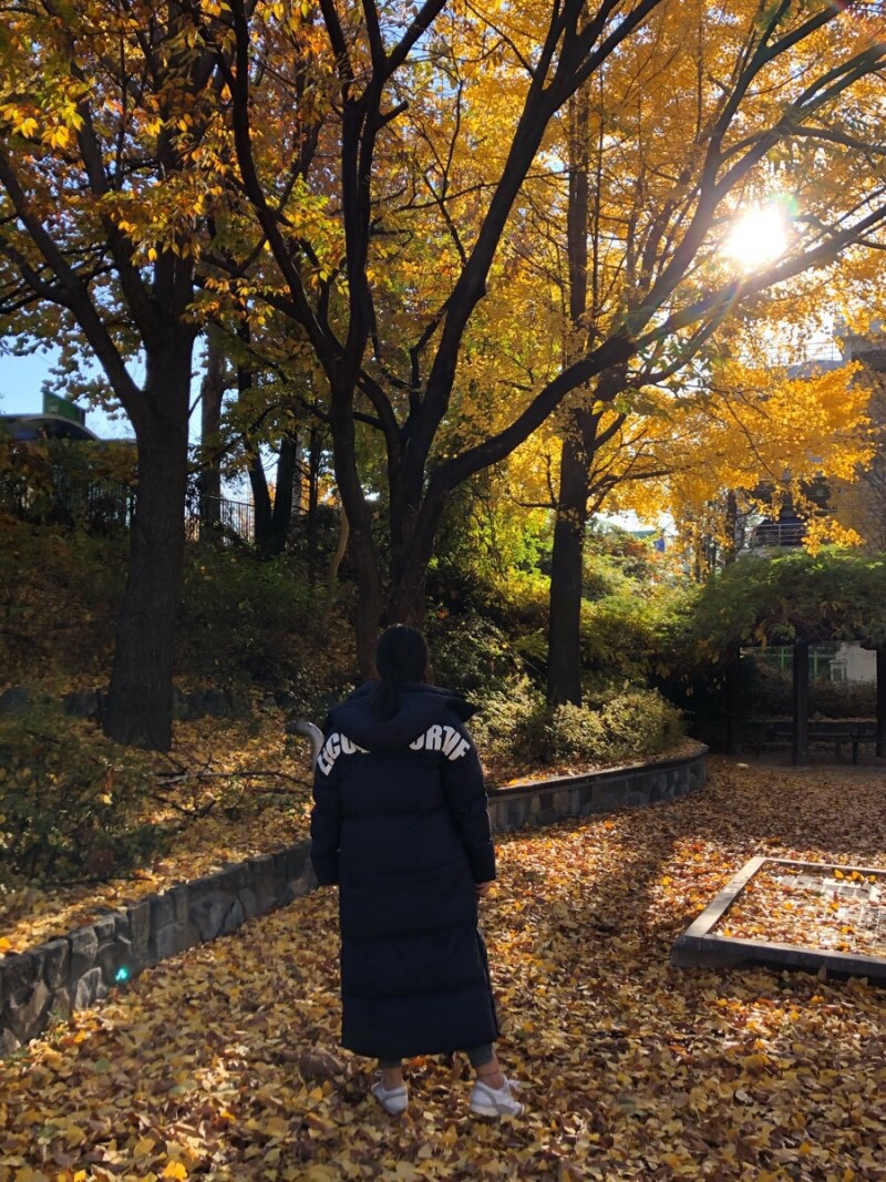 꼬끄롱 이미지