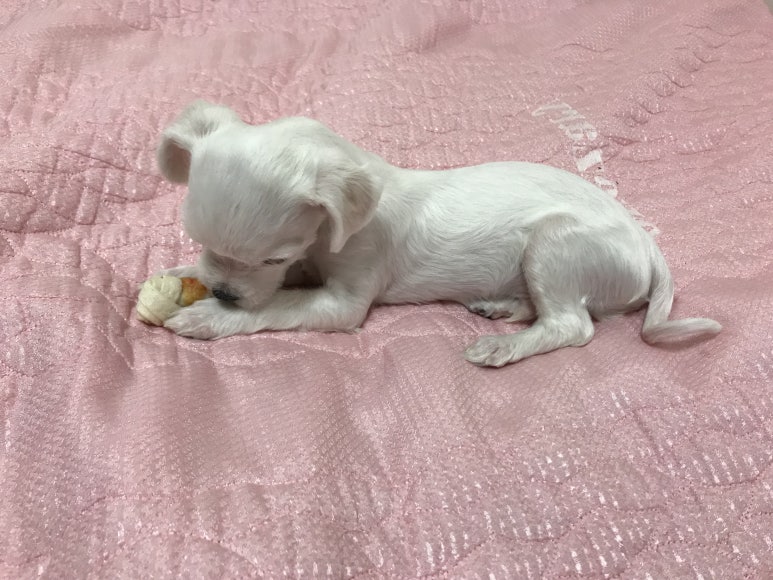 쓱싹 이미지