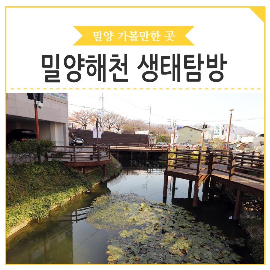 여행일번지지점 이미지