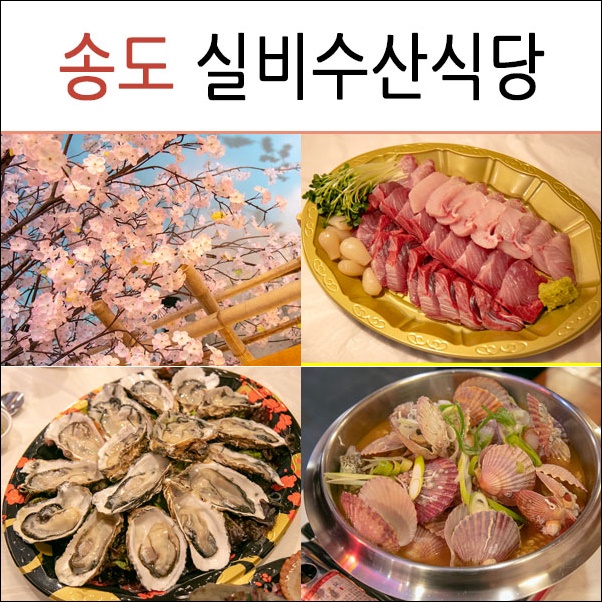 섬실비식당 이미지