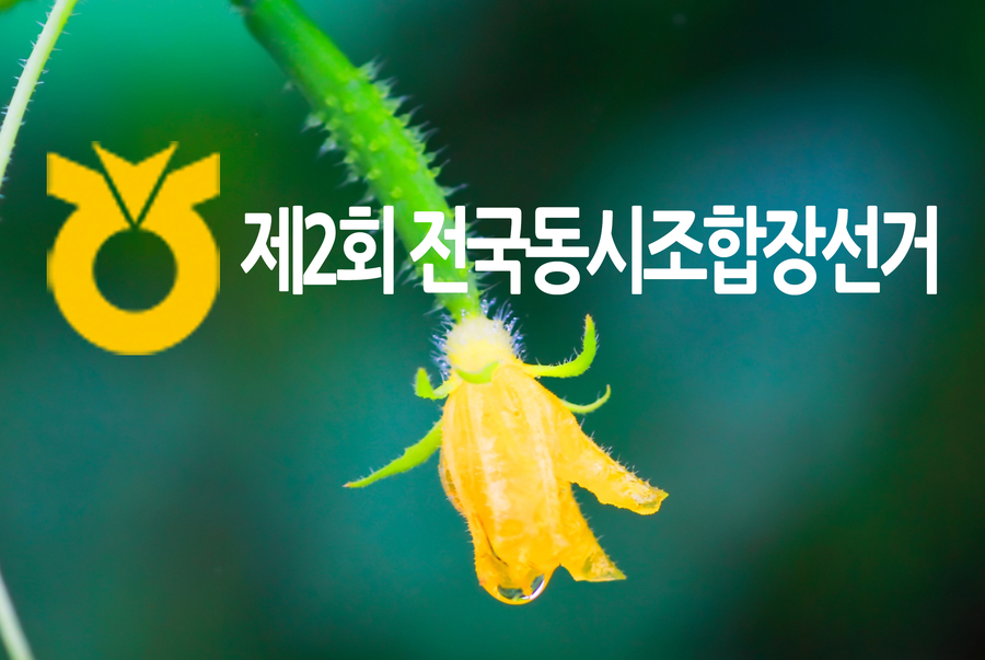 고구려광고기획 이미지