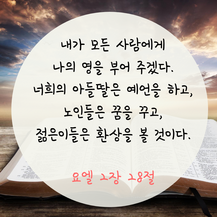 엘앤비 이미지
